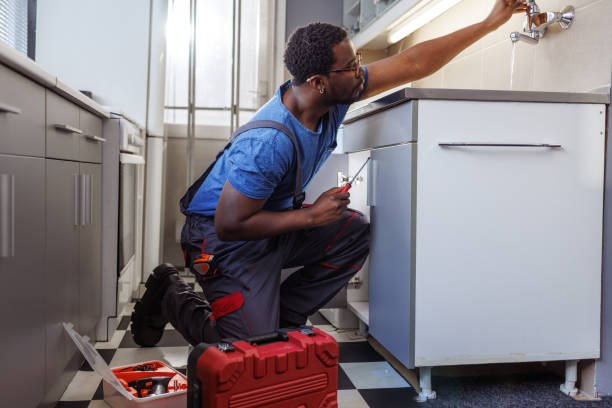 Best Sprinkler Systems  in White Pigeon, MI